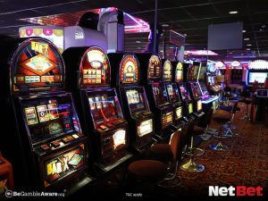 23jogo|Bingo Online – Aposte e Vença no Cassino Digital